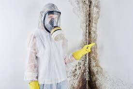 Mold Removal for HVAC Installations in Homestead Meadows South, TX